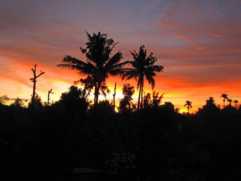 Nyoman Murjana Homestay Ubud Zewnętrze zdjęcie